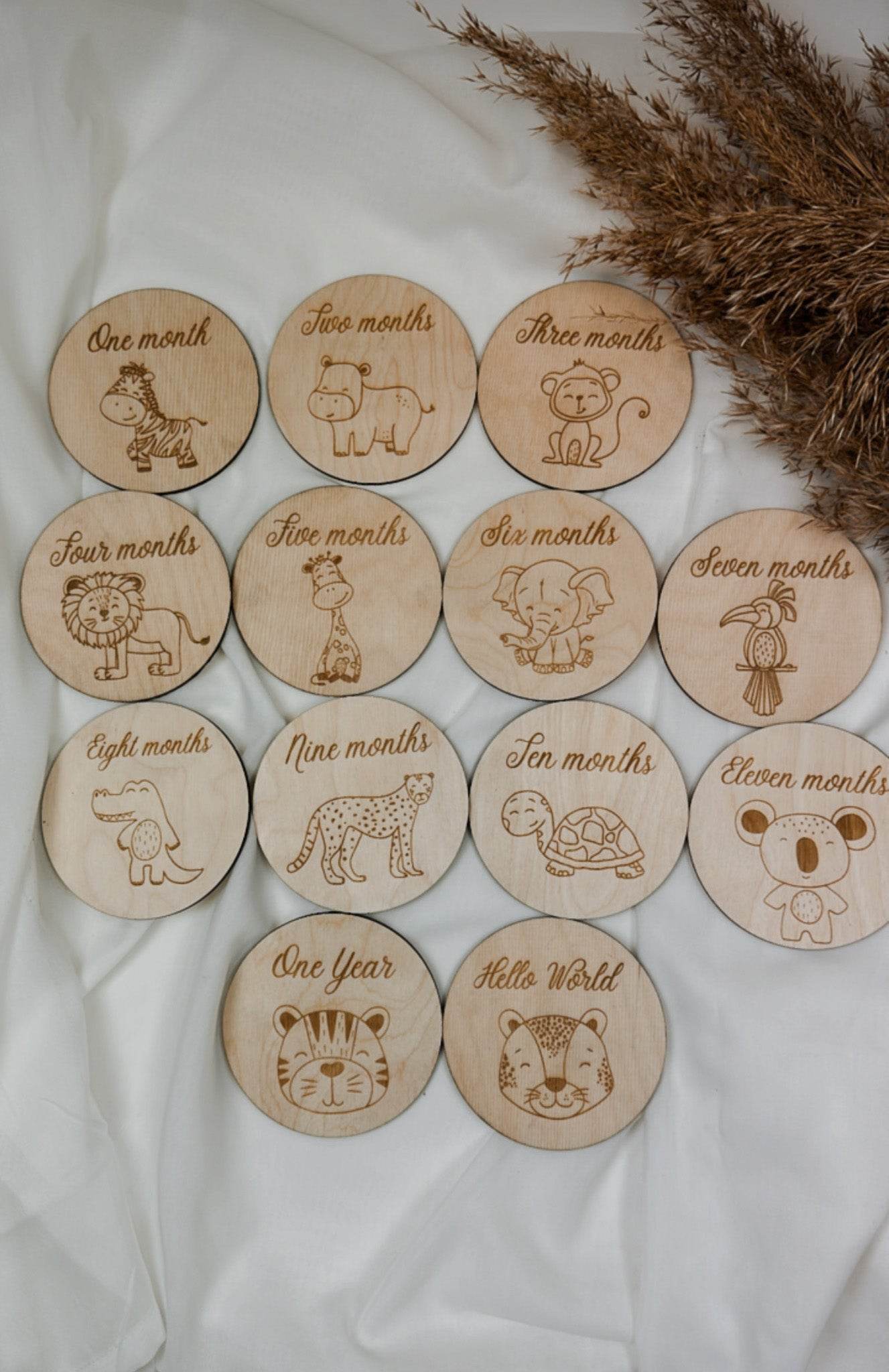 Safari themed Milestone Cards - Minidreams Decor