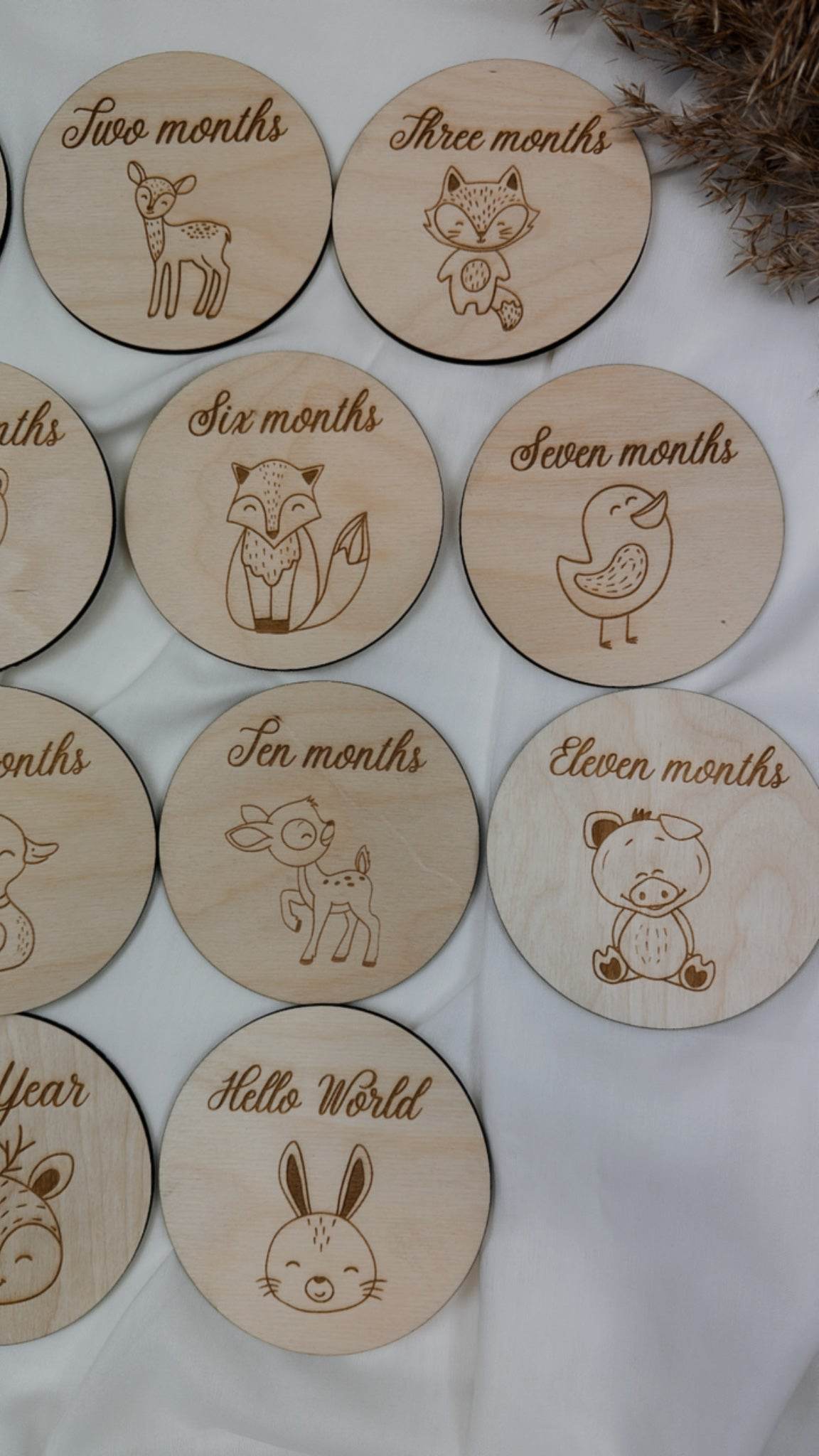 Forest themed Milestone Cards - Minidreams Decor