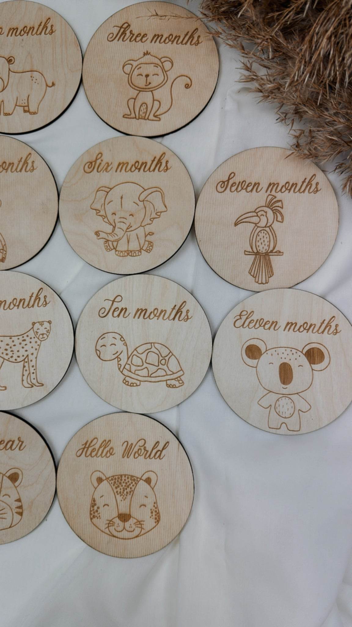 Safari themed Milestone Cards - Minidreams Decor