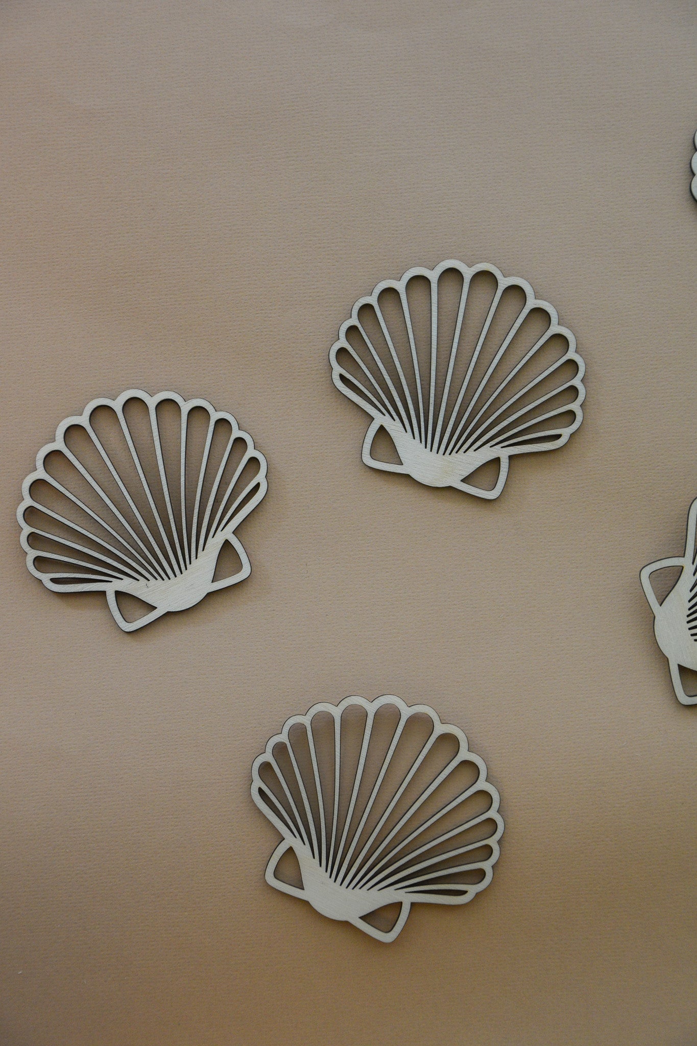 Wooden Scallop Seashell for Crafts -  Natural wood Laser Cut - Wall Decorations