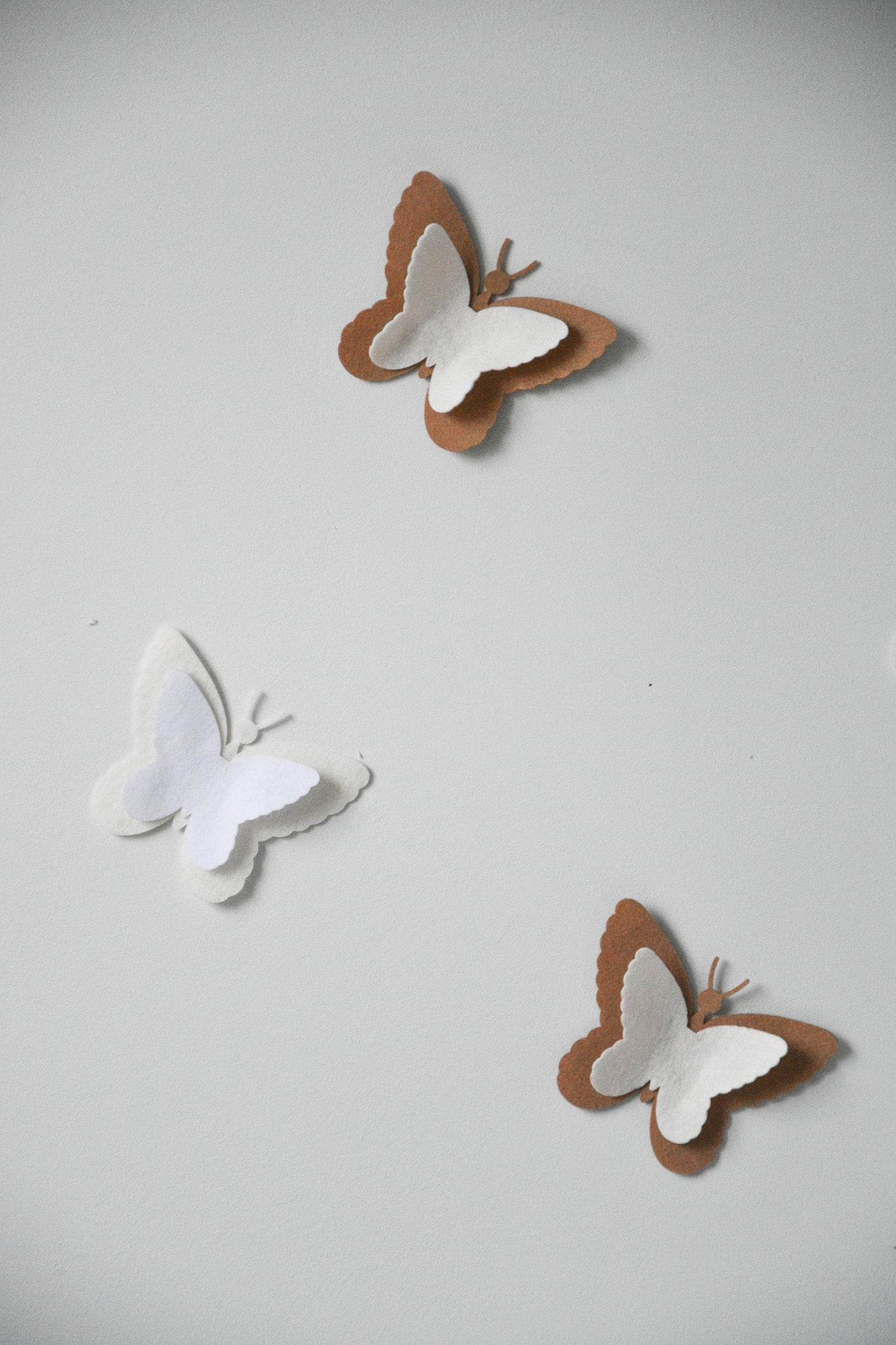 Butterflys wall decoration set - Minidreams Decor