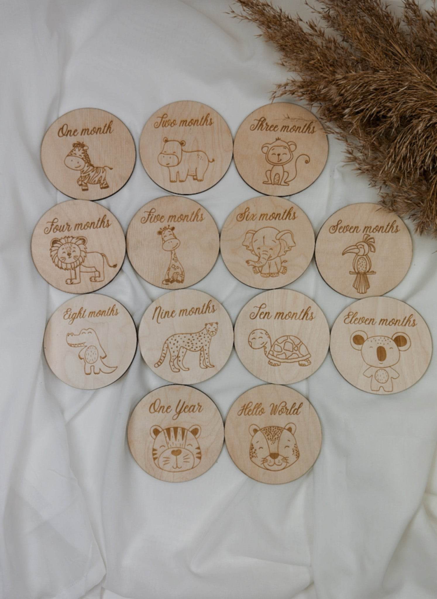 Safari themed Milestone Cards - Minidreams Decor