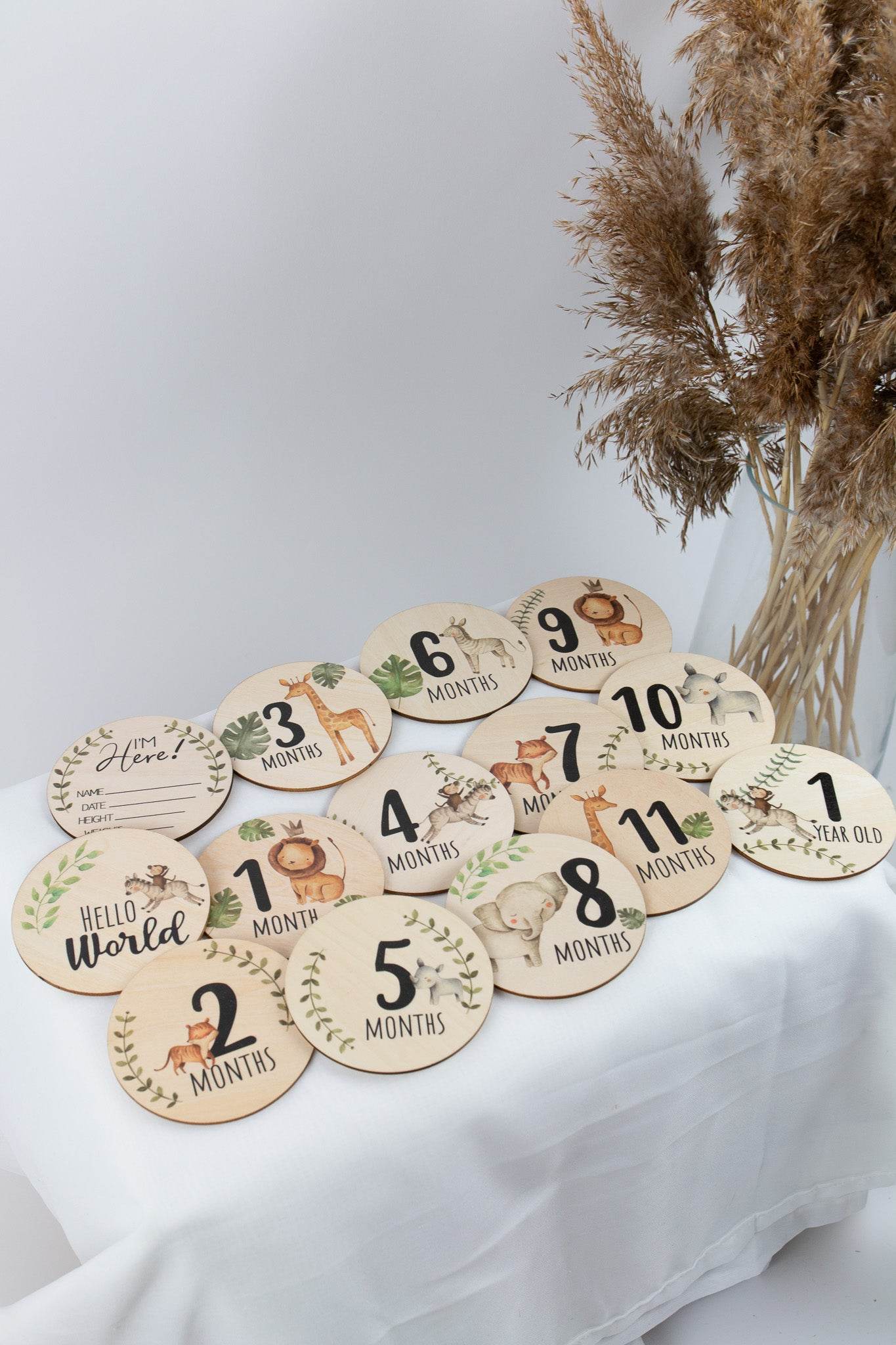 Safari Wooden Baby Milestone Card 14pcs - Minidreams Decor