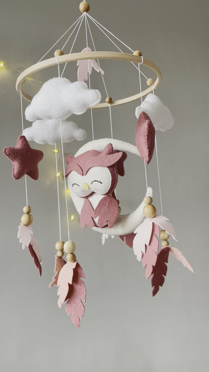 Owl Mobile with clouds and feathers